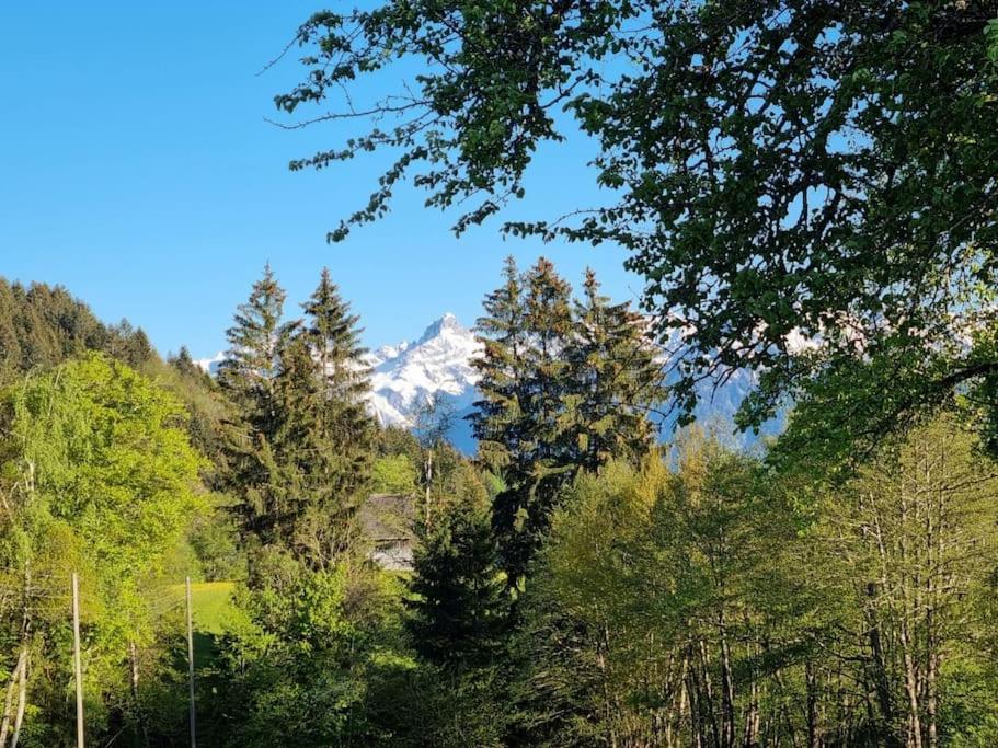 Haus Rheintalblick Villa Ubersaxen Buitenkant foto